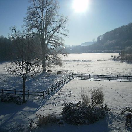 Gut Wenne Hotel Eslohe Buitenkant foto