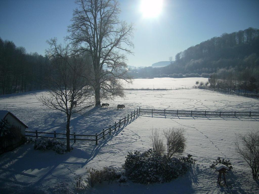 Gut Wenne Hotel Eslohe Buitenkant foto